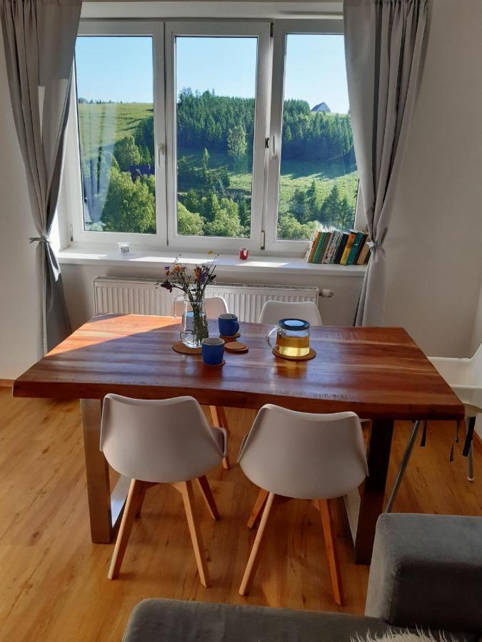 Apartman U Kunstatskeho Mlyna Orlicke Zahori Exterior photo