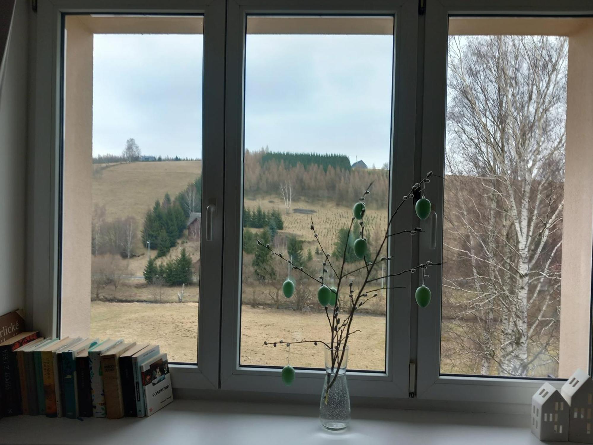 Apartman U Kunstatskeho Mlyna Orlicke Zahori Exterior photo